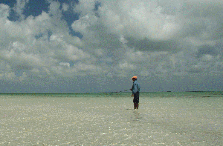 Fly Fishing Pictures